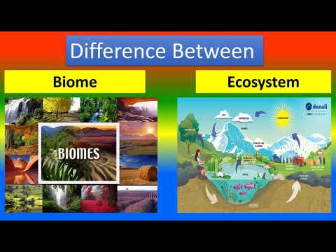 Difference Between Biome and  Ecosystem
