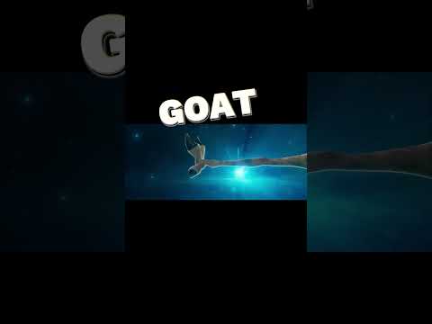 Goat 2026 #edit #filmanalysis