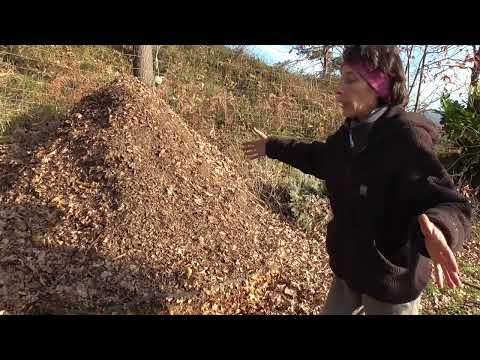 Video: Giardinaggio con pacciame a foglio - Informazioni sul compostaggio di fogli