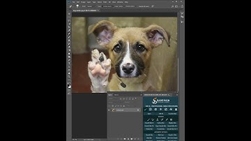 Remove Fence with 2 Simple Steps in Photoshop #Short #Shorts