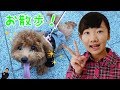 ★「初めての お散歩」　初めてのシリーズ第五弾！★