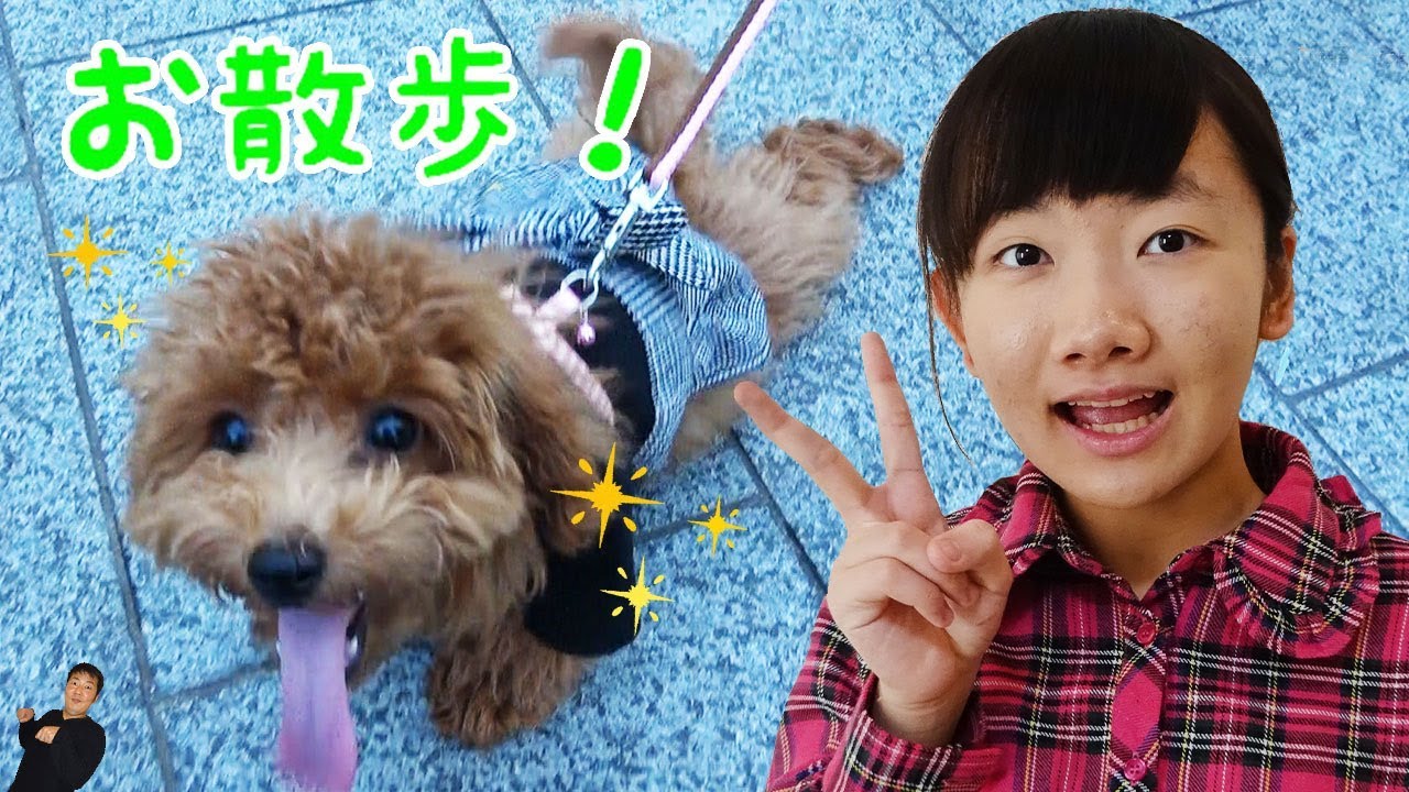 ★「初めての お散歩」　初めてのシリーズ第五弾！★