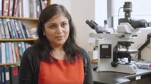 The Lab Saved My Life