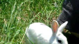 CIMG6312.AVI