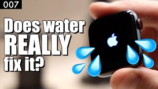 Apple Watch Digital Crown Not Working / Daily Vlog 007