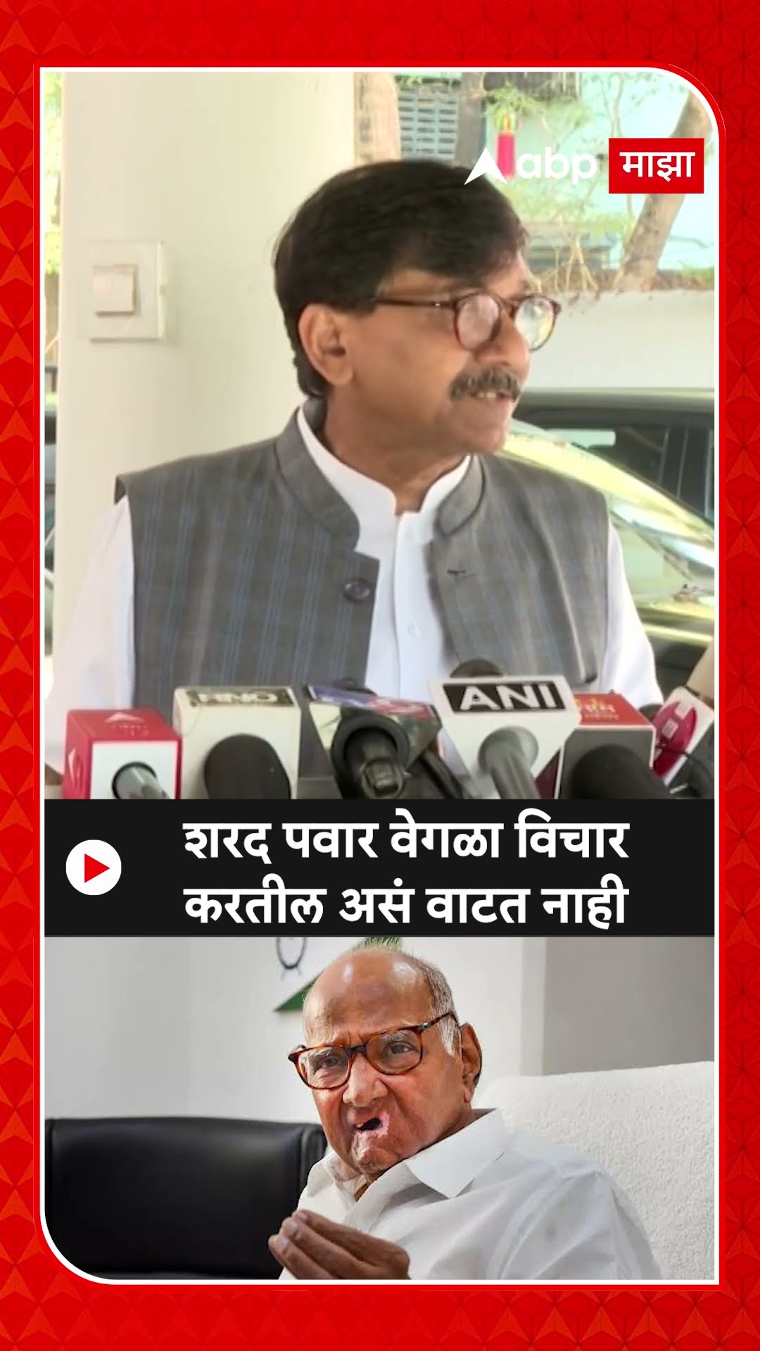 Sanjay Raut On Sharad Pawar : शरद पवार वेगळा विचार करतील असं वाटत नाही