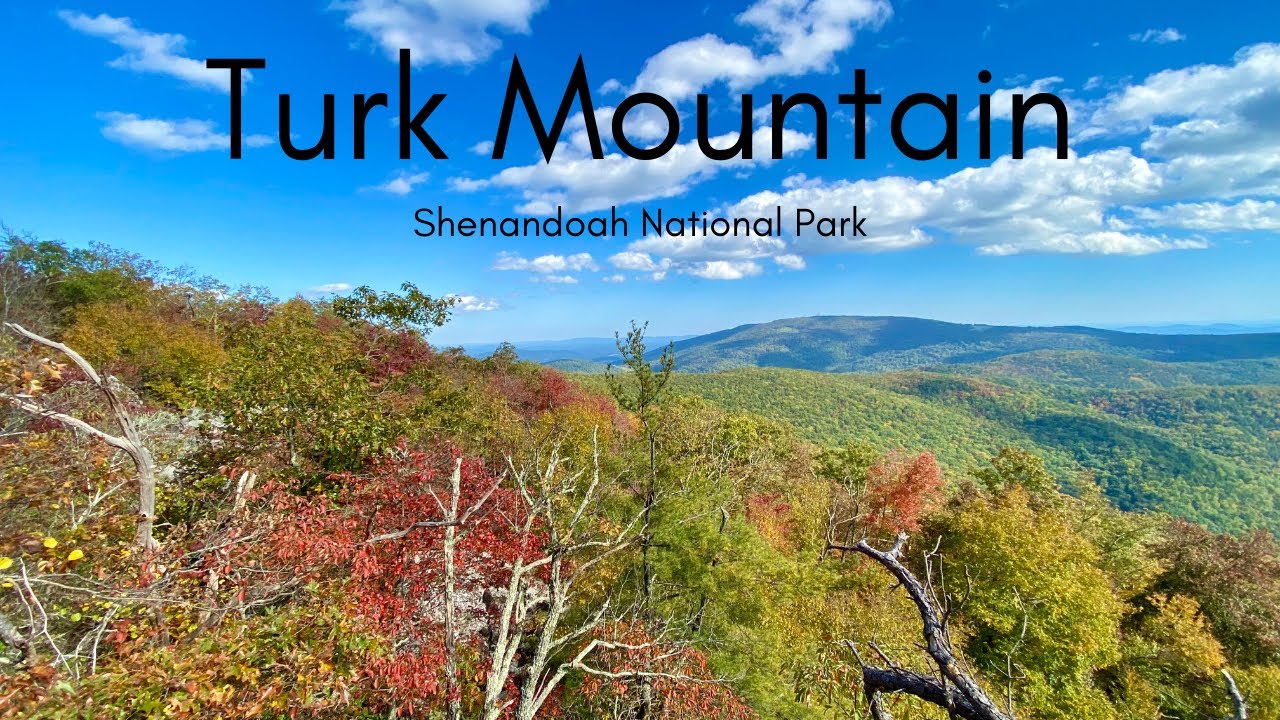 Turk Mountain Trail - Shenandoah National Park