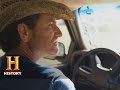 Investigation of Cow Mutilations