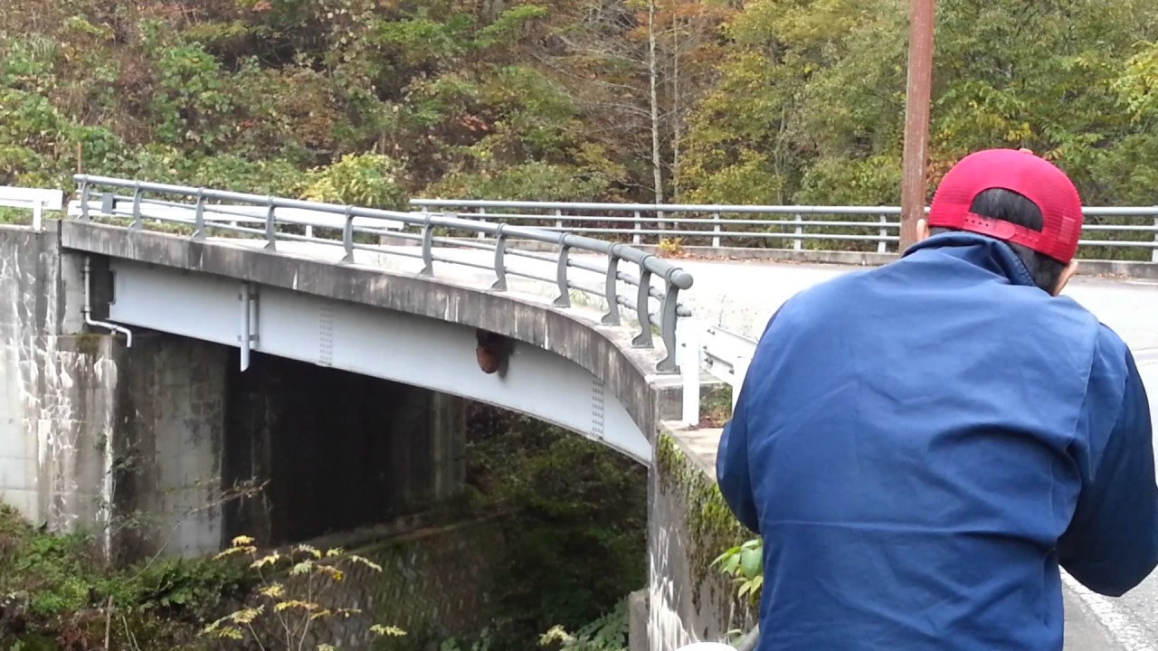 キイロスズメバチの巣を電動ガンで駆除　失敗