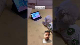 #youtube #youtubeshorts #love #doglife #dogshorts #happydog