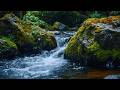Fall Asleep Fast Peaceful Forest Stream, Calm Flowing Water &amp; Birds for Deep Sleep Relaxation Sounds