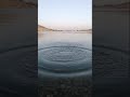 سەدەی سماقولی
