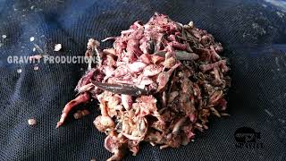 ജൈവമാലിന്യ സംസ്കരണം.....പ്രശ്നപരിഹാരം....✌️✌️  / Carbon Processing