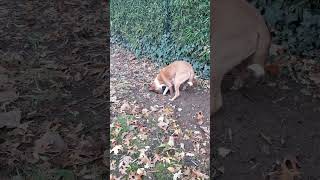 24-1- 25 Jannie Graaft Zomaar Een Gat.