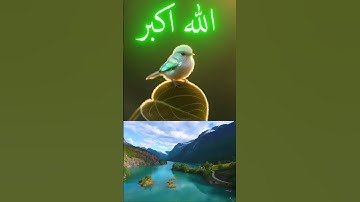 دعاء الهم والحزن#دعاء_الصباح #دعاء_مستجاب #اذكار_الصباح #اذكار #اللهم_صل_وسلم_على_نبينا_محمد