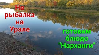 видео: Отдых на реке Урал.Готовим узбекское блюдо картинка: Отдых на реке Урал.Готовим узбекское блюдо