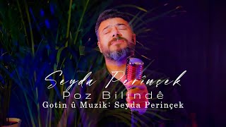 Seyda Perîncek  - Poz Bilindê Resimi