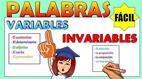 📚PALABRAS VARIABLES E INVARIABLES Video educativo