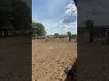 Quem vai já viu tanta égua assim??