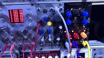 DPW Design Mög WF-1 Wavefolder