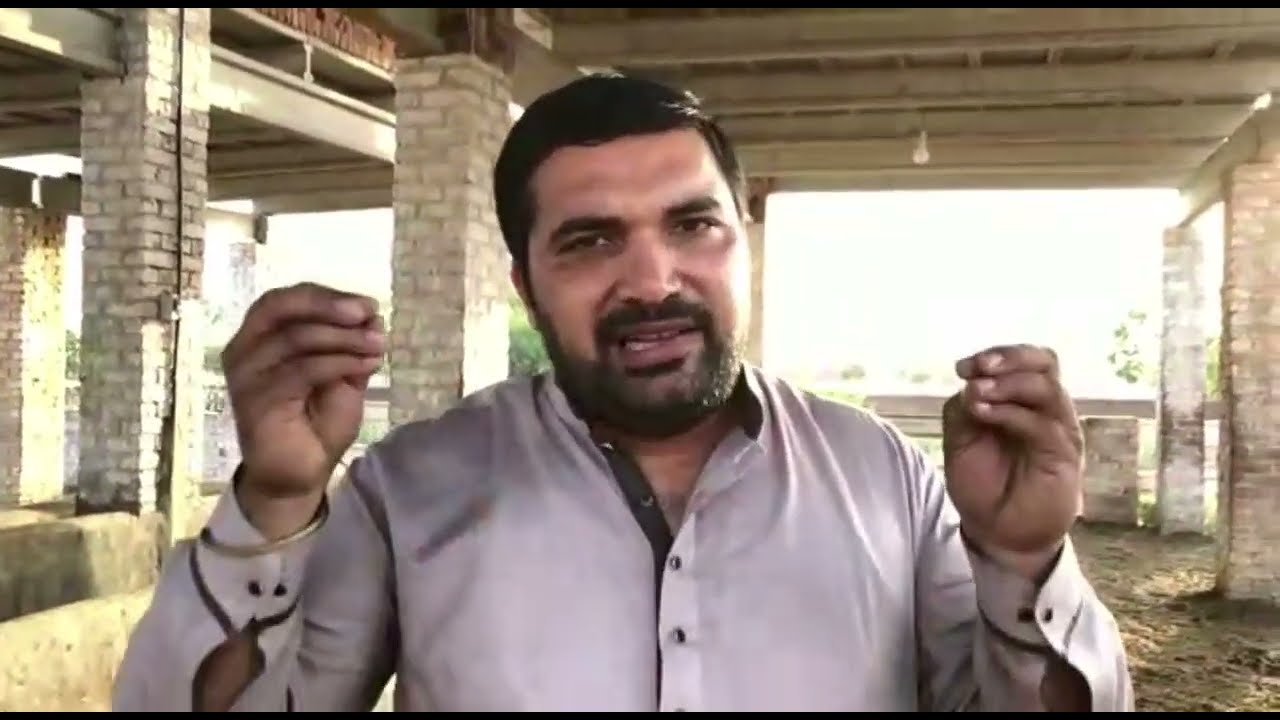 ਪਹਿਲੇ ਸੁਏ ਜਿਆਦਾ ਦੁੱਧ ਤੇ ਵੱਡੇ ਅਡਰ (ਮਲਕ ਜੈਬੇਦ ਪਾਕਿਸਤਾਨ ਦੇ ਮਸ਼ਹੂਰ nilliravi ਦੇ ਬਰੀਡਰ