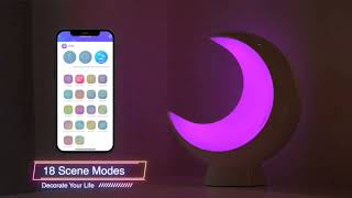 Bedside Lamps Rechargeable, Segmented APP Control Color Changing RGB Lamp for Kids with Music Sync M screenshot 2