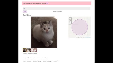 Craigslist Flagged for Removal