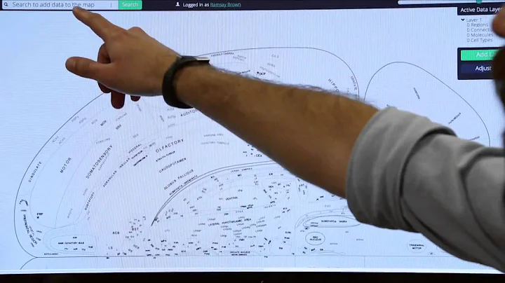 Interactive Brain Mapping