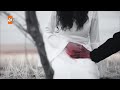 مسلسل زهرة الثالوث الحلقه 51 مترجمة القسم 18 بجوده عالية 