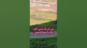 #قرآن #سورة_البقرة #surahalbaqarah #البقرة #سورة #قران_كريم #tilawat #اكسبلور #surahalbaqrah