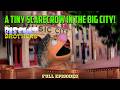 The Biscuit Brothers - A Tiny Scarecrow in the Big City - Full Episode PBS TV Show
