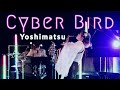 Takashi yoshimatsu  cyber bird concerto