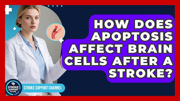 How Does Apoptosis Affect Brain Cells After A Stroke? - Stroke Support Channel