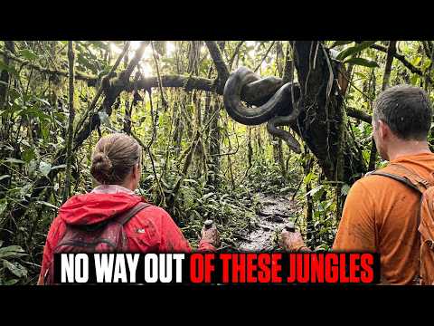 THE AMAZON KILLS IN SILENCE: 3 Real Survival Stories