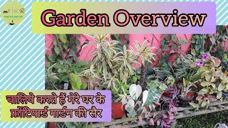 Garden Overview | My Frontyeard Garden | मेरे गार्डन की सैर by Krishyel's Green Life 288 views 3 months ago 4 minutes, 44 seconds