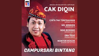 Download Lagu Sido Rondho (feat. Safitri)