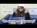 Что с Семечкой