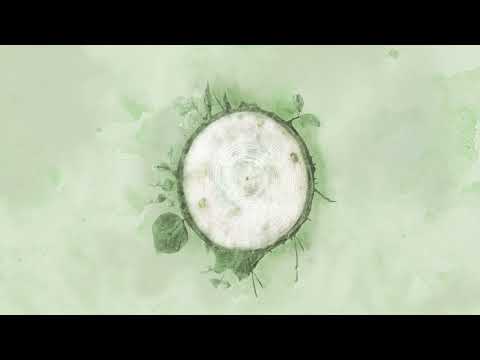 Andrea Vanzo Rebirth Official Visualizer Andrea Vanzo Rebirth Official Visualizer