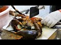 Palau Food - GIANT MUD CRABS Cooked Two Ways FC Seafood Koror