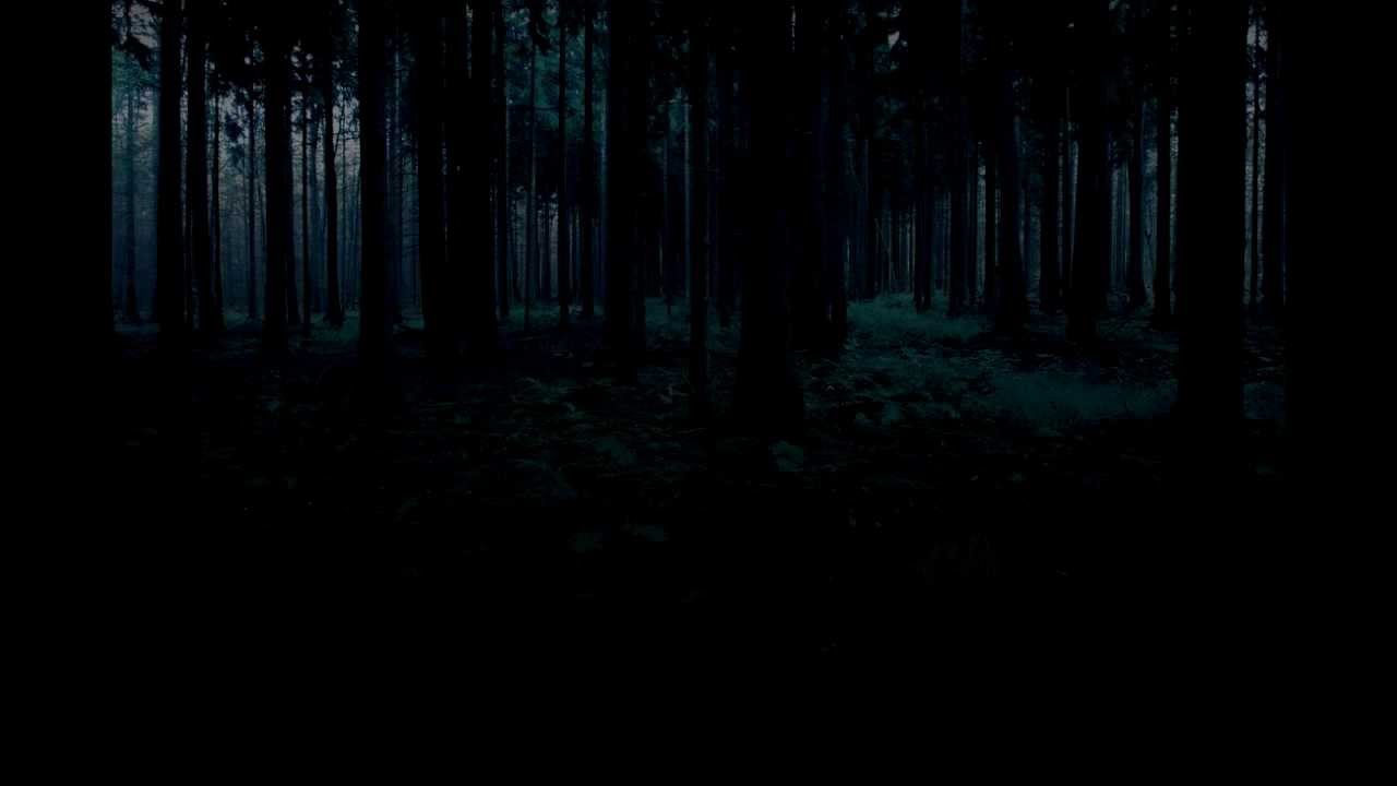 Soundscape - Creepy Woods - YouTube