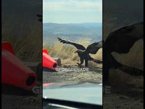 Support Each Other And Choose Kindness Viral 