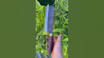 Tôi làm con dao phở thái bằng thép trục tàu ngầm sắc nét đáng kinh ngạc