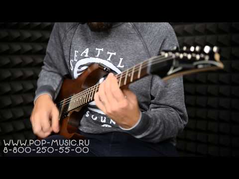 Электрогитара IBANEZ RG421