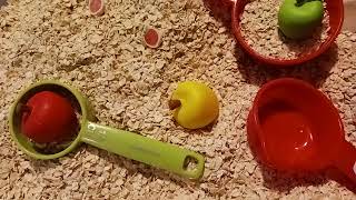 Apple Themed Sensory Bin 2022