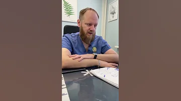 Полынь для здоровья человека чем полезна
