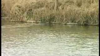 Andy Findlay's Complete Guide to Method Feeder Fishing