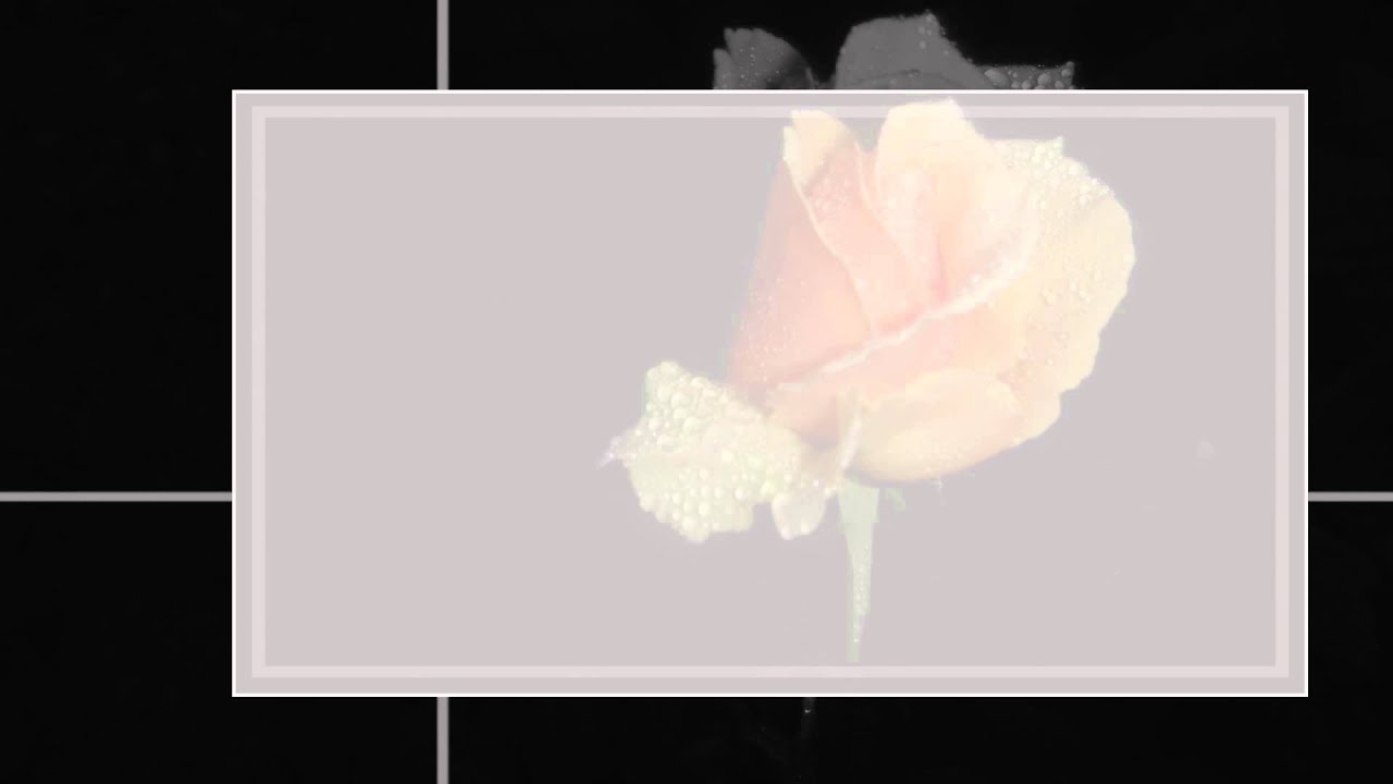 ♥ "To a Wild Rose" - Edward MacDowell music ♥ "To a Wild Rose" - Edward MacDowell music