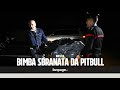 Bimba uccisa da due pit bull a Brescia, il vicino: "Avevo chiesto alla polizia di intervenire"
