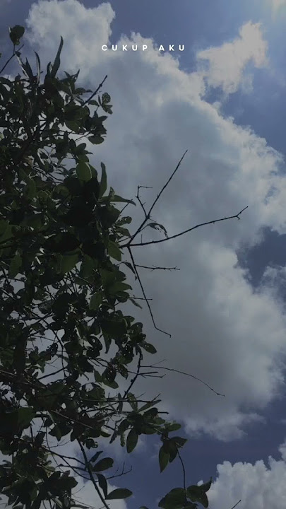 Yowes rapopo rasah di getuni #akuikhlas #aftershine #whatsappstatus #lagutiktokviral