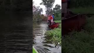 Pesca do jaraqui - Amazonas